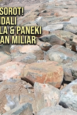 BWS Sulawesi Tengah Disorot: Proyek Pengendali Banjir Multi-Miliar Dipertanyakan, Kepala Balai Pilih Lempar ke PPK